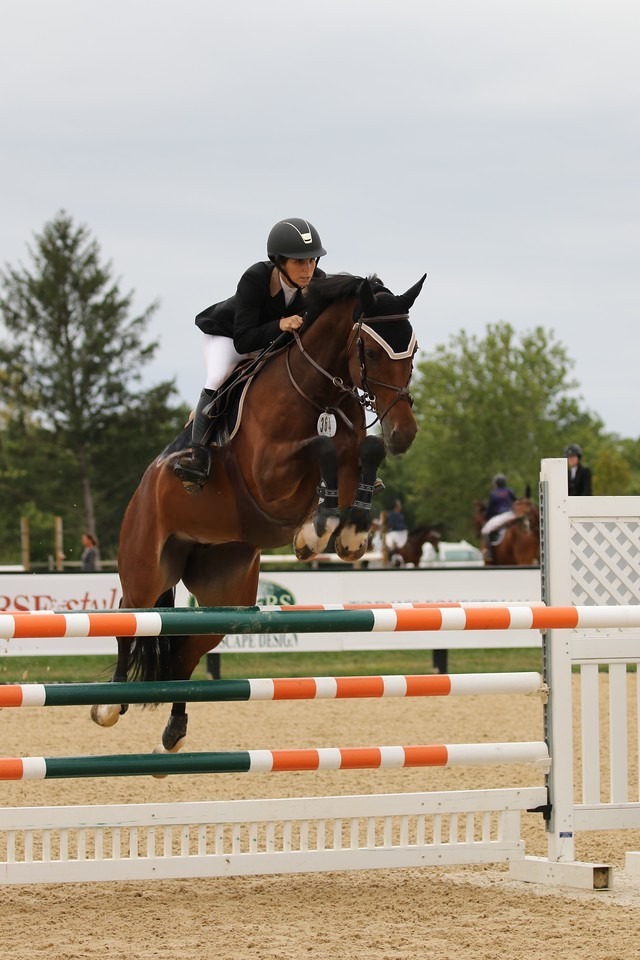 W Foal - SPF