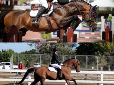 In Utero 2026 (Orbetello x Valliant x Chin Chin x Indoctro)