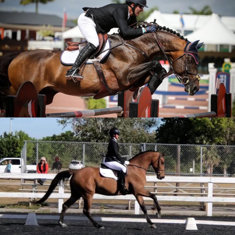 In Utero 2026 (Orbetello x Valliant x Chin Chin x Indoctro)