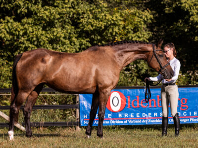 In Utero 2026 (Heartvit ZH x Numero Uno x Galoubet A)