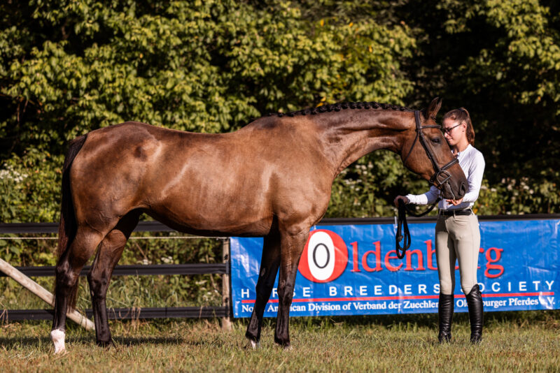 In Utero 2026 (Heartvit ZH x Numero Uno x Galoubet A)