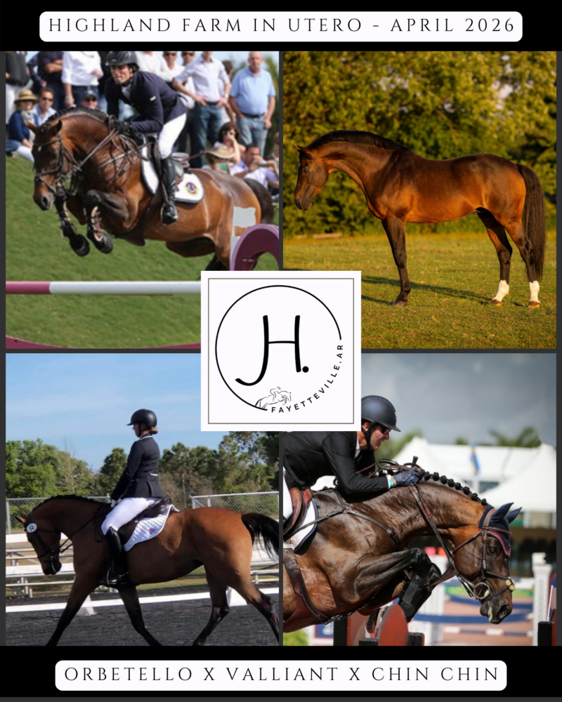 In Utero 2026 (Orbetello x Valliant x Chin Chin x Indoctro)