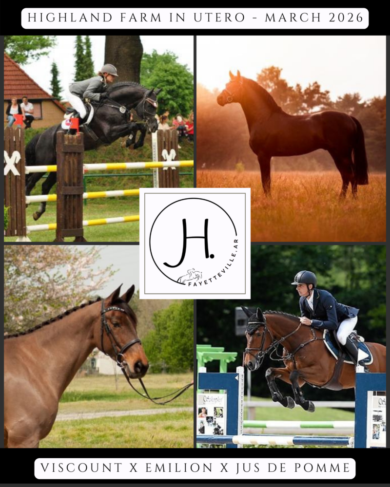 In Utero 2026 (Viscount x Emilion x Jus de Pomme)