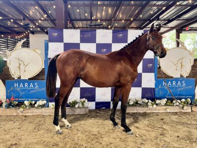 U-Noche & Gabbana HC