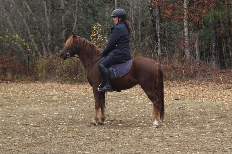 Wildwind's I'm Coming in Hot