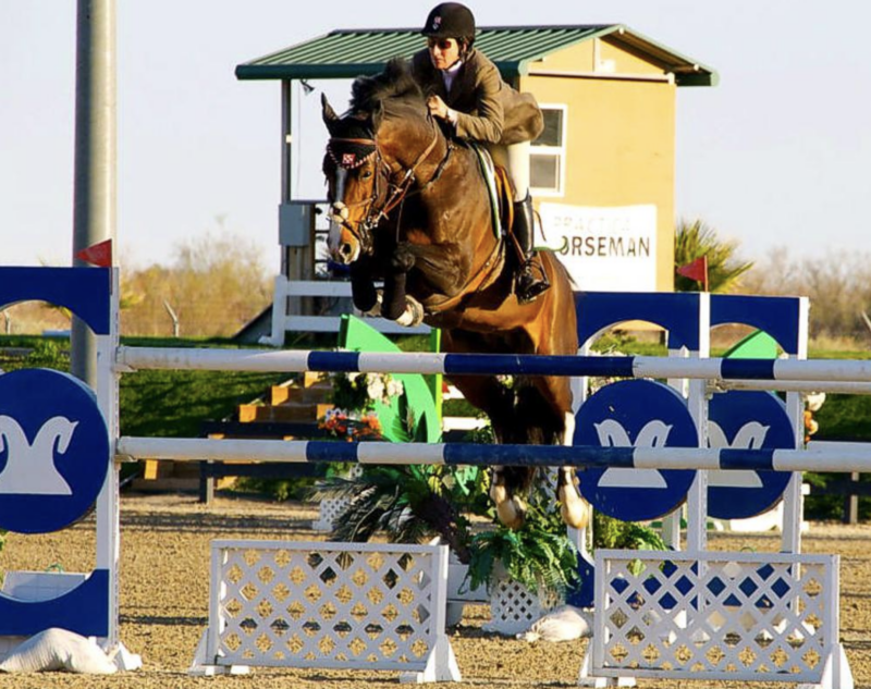 Con Capilot x Ragtime mare In-Utero 2026